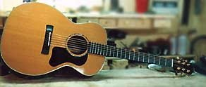 Steve Carmody Guitar